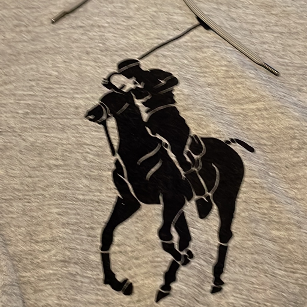 Mens Hoodie